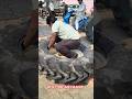 KLD TYRE MECHANIC || #KLDTYREMACHANICE #shorts #ytshorts #trending
