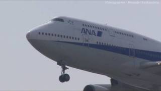 All Nippon Airways (ANA) 747-400D JA8961 @ Haneda [20100801_1402]