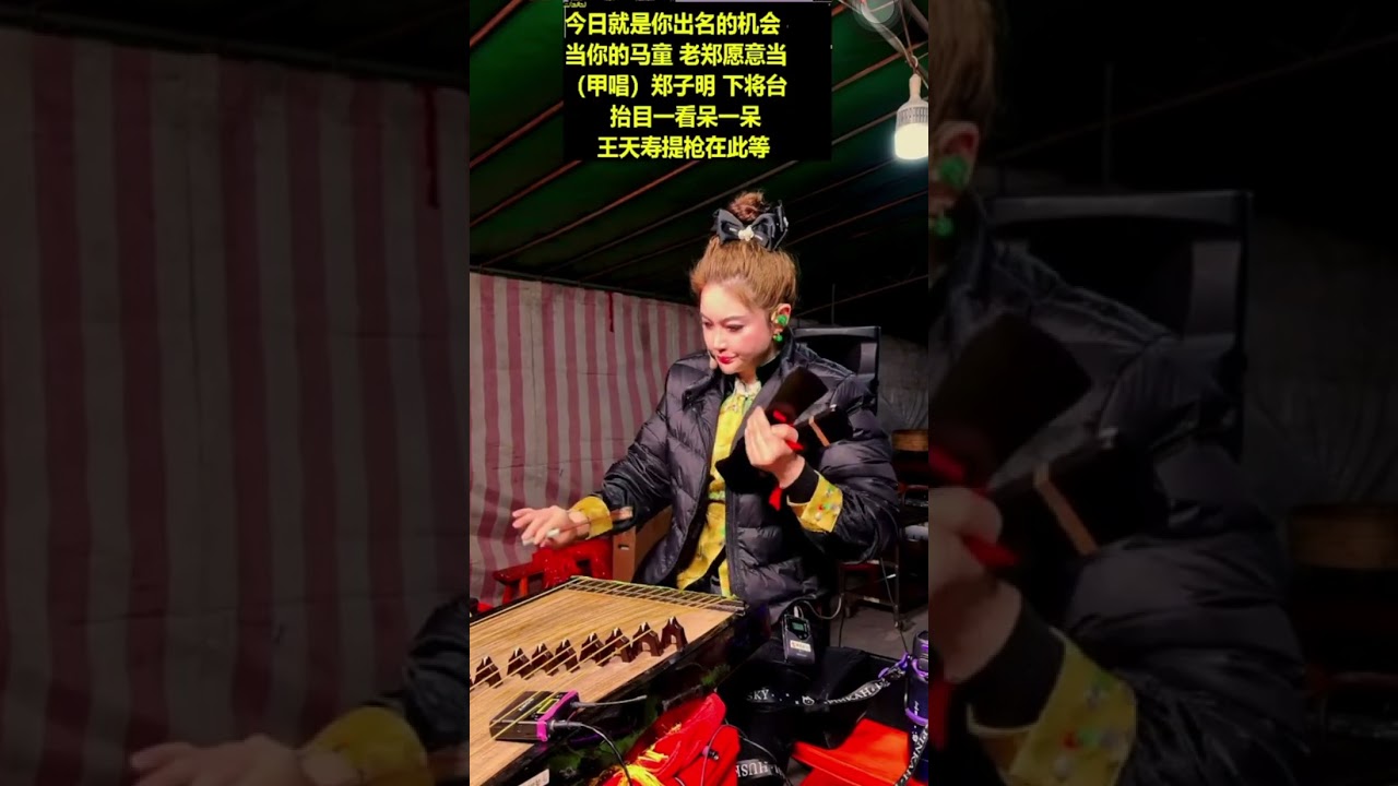 宋将高怀德枪挑辽将王天寿-第4集