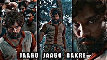 Jaago Jaago Bakre Fullscreen Whatsapp Status | Jaago Jaago Bakre Status | Pushpa | Allu Arjun Status