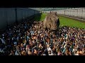 5 TREX vs 3000 PEOPLE - Jurassic World Evolution