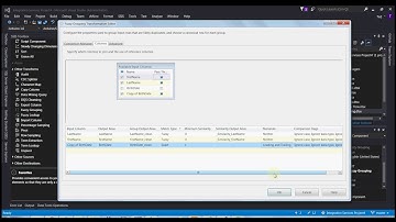09 SSIS Fuzzy Grouping