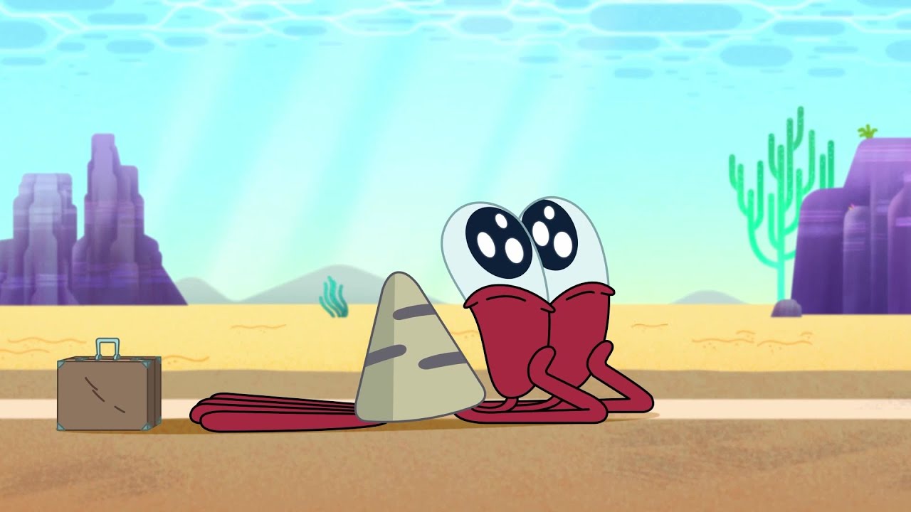 THE DREAM NEW The Adventures of Bernie Zig & Sharko Cartoons for