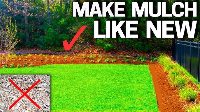 Mulchworx Black Mulch Color Concentrate 2,800 Sq. ft. Pure Midnight Dye Spray