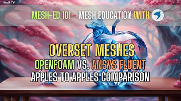 Post-processing overset meshes with Paraview and Ensight | How is it done in OpenFOAM and Fluent