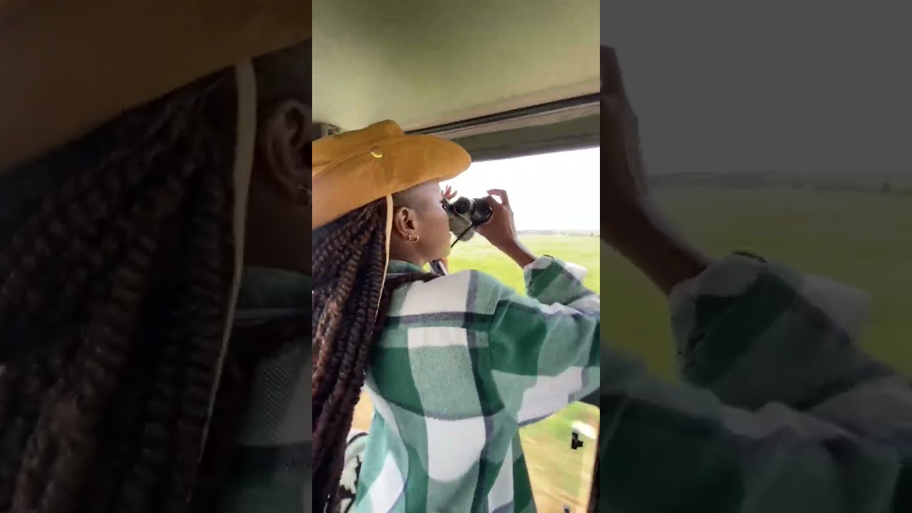 📍Game drive in the mara 😍#safari #fyp #masaimara #foryou #adventure #vacation #gym #fypシ゚ #fun