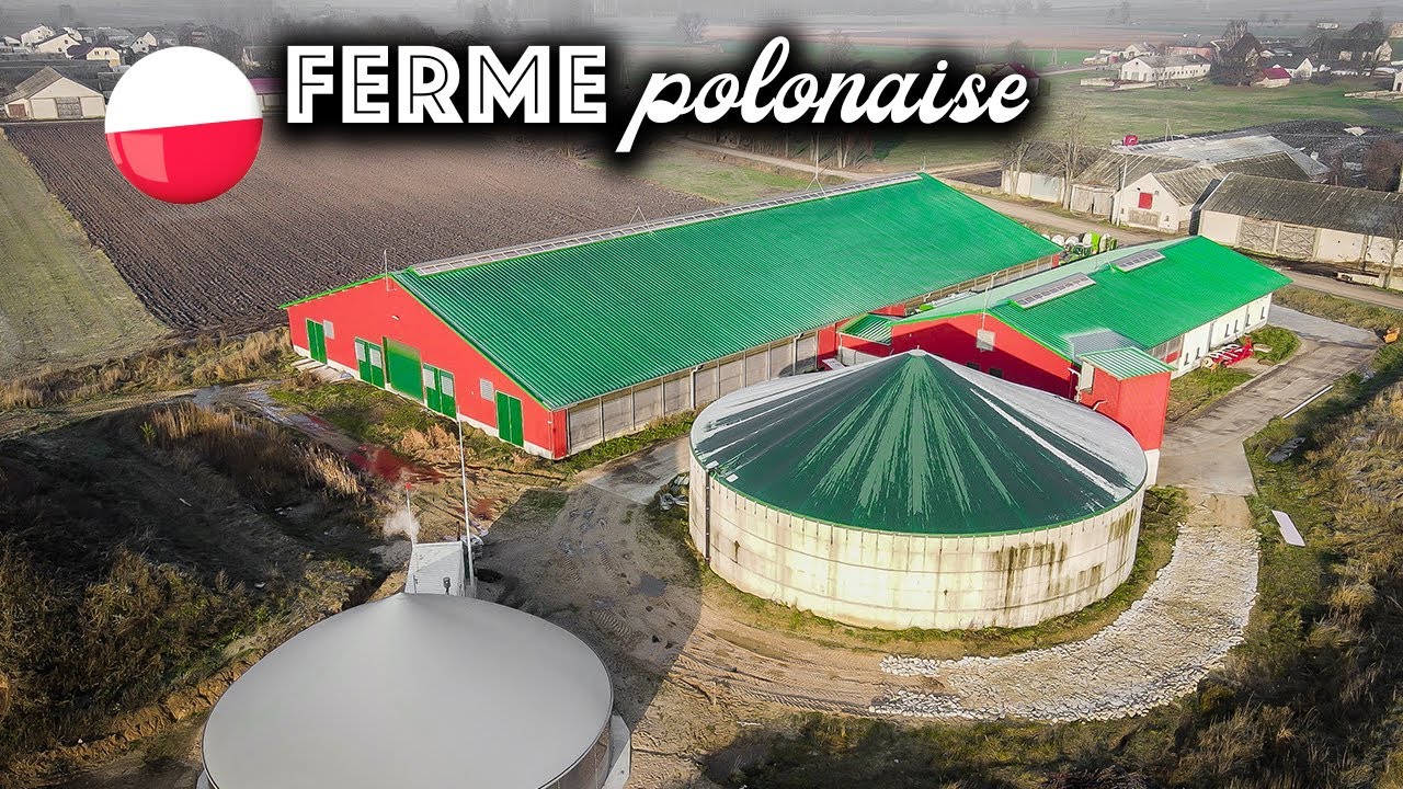 Je visite cette grosse ferme 🇵🇱 En Pologne !