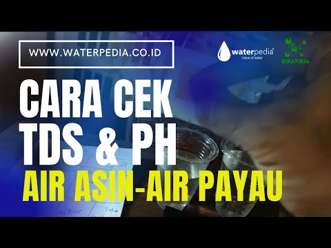 Video: Adakah bakau air masin?