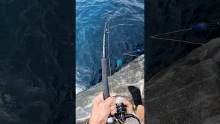 Download Lagu BIG FISH from Rocks #fishing #kingfish #bigfish MP3 Download Lagu BIG FISH from Rocks #fishing #kingfish #bigfish MP3