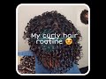 Curly hair routine 2021 | 3B - 3C Curls (using a Denman brush)