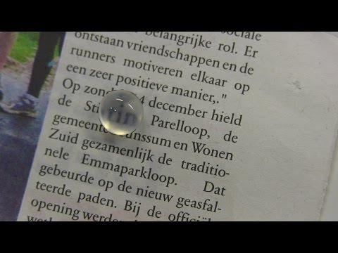 Video: Waarom is het ontleden van een foetaal varken waardevol?