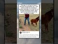 RURAL REALITY CHECK