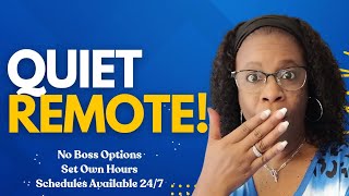Part Time and Full Time Quiet Remote Jobs - Set Your Own Hours 