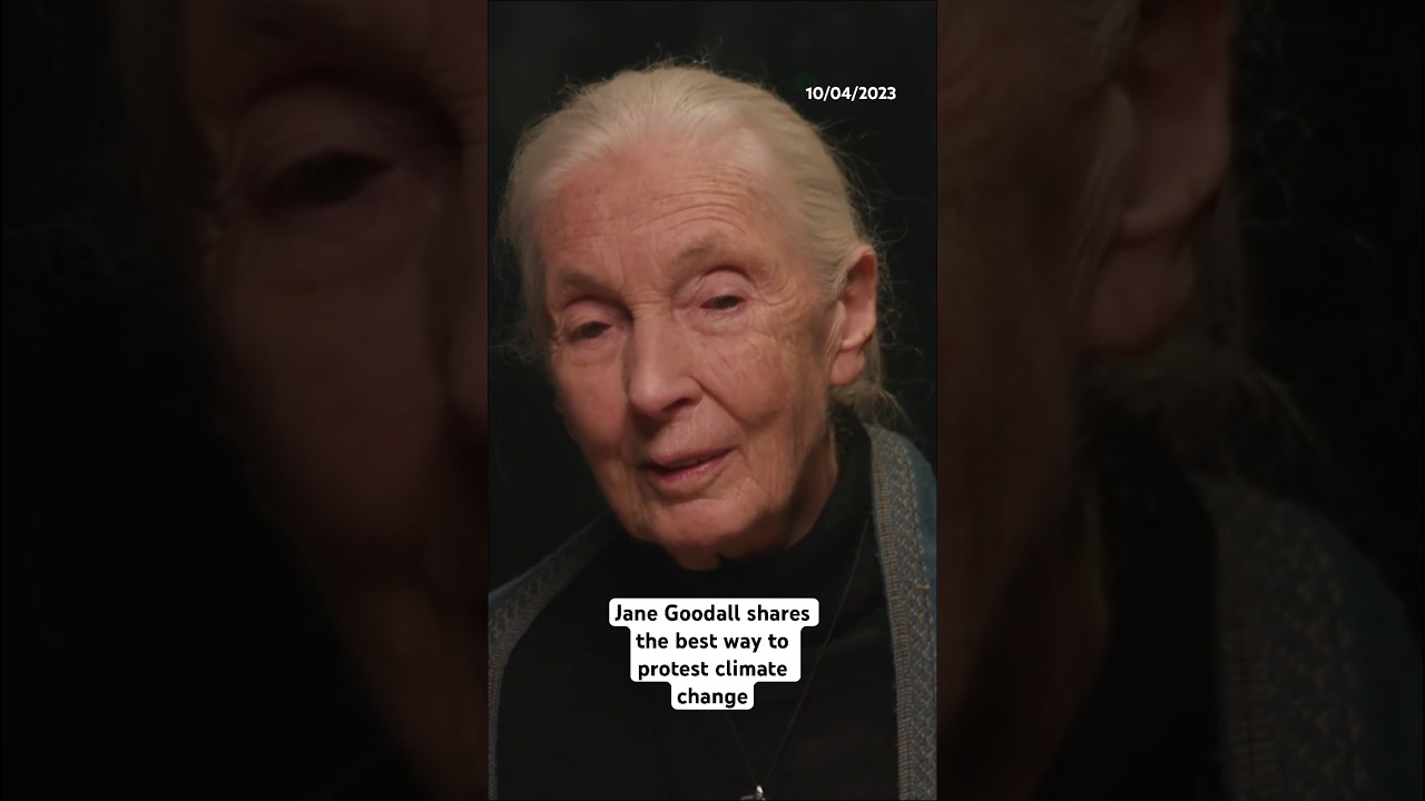 Jane Goodall shares the best ways to protest climate change