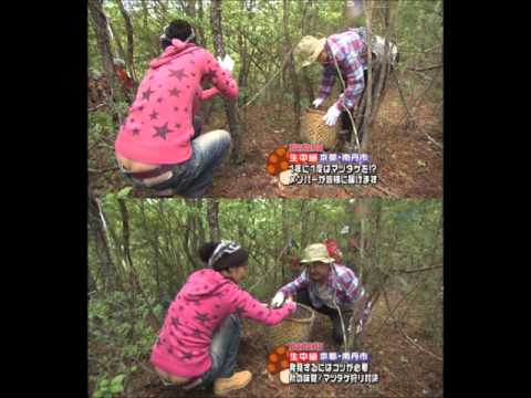 石川梨華　パチンコ　ラジオCM