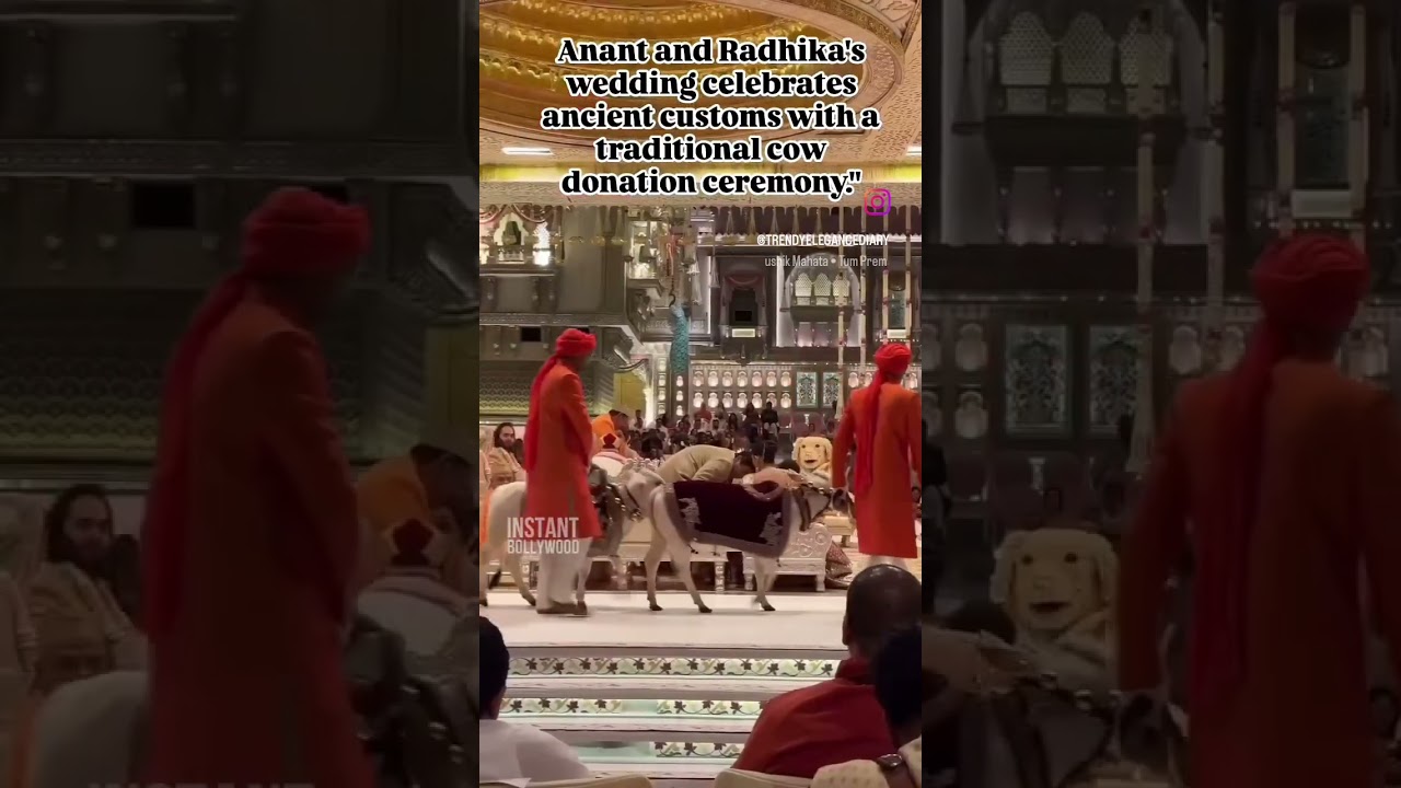 Anant and Radhika's wedding features a traditional cow donation ceremony."