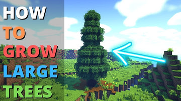 Minecraft: How to Grow Big Trees 🌳