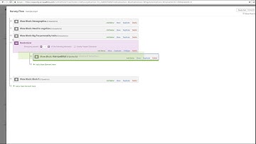 Qualtrics demo 2: Randomly assigning individuals to different treatment conditions