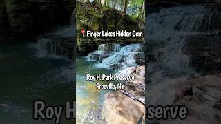 Play video: 📍Finger Lakes Hidden Gem ~ Roy H. Park Preserve