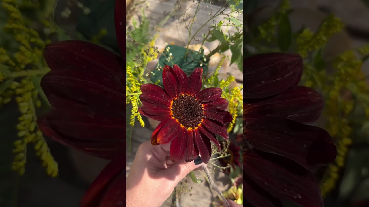 Pumpkin Centerpiece with Fresh Flowers 