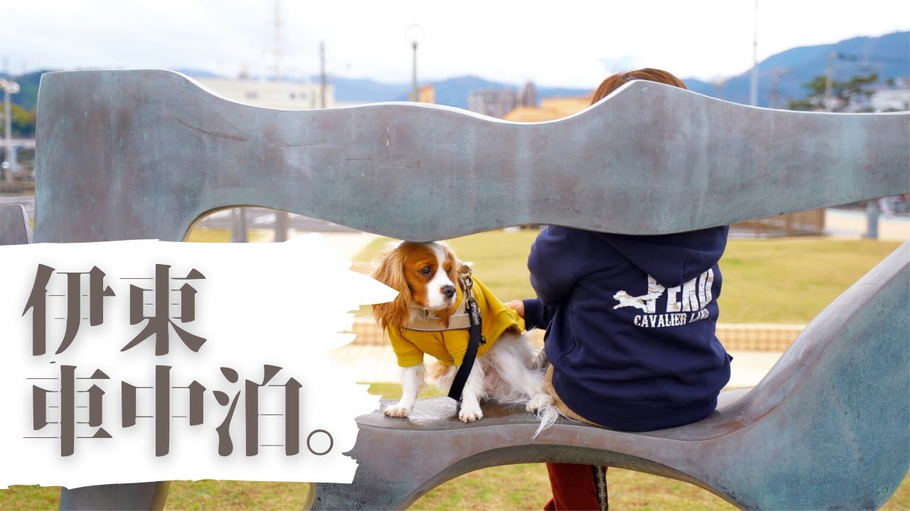 伊豆 伊東車中泊 伊東マリンタウン 温泉街の小道をぶらり散歩 東海館 湘南移住暮らし 犬とキャンピングカー キャバリア Youtube 伊豆 伊東車中泊 伊東マリンタウン 温泉街の小道をぶらり散歩 東海館 湘南移住暮らし 犬とキャンピングカー キャバリア Youtube