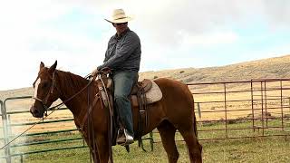 RITZ 2023 Sorrel AQHA Mare