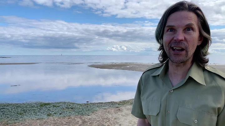 Beach - The Australia Survival Guide