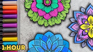 1 Hour Mandala Coloring ASMR (No Talking) — Sleep, Focus & Anxiety Relief 💤