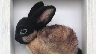 Siamese Sable Pt.3 | Presentation