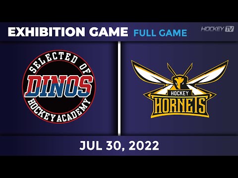 다이노스 vs 호네츠 친선 경기 [FULLGAME] 2022.07.30