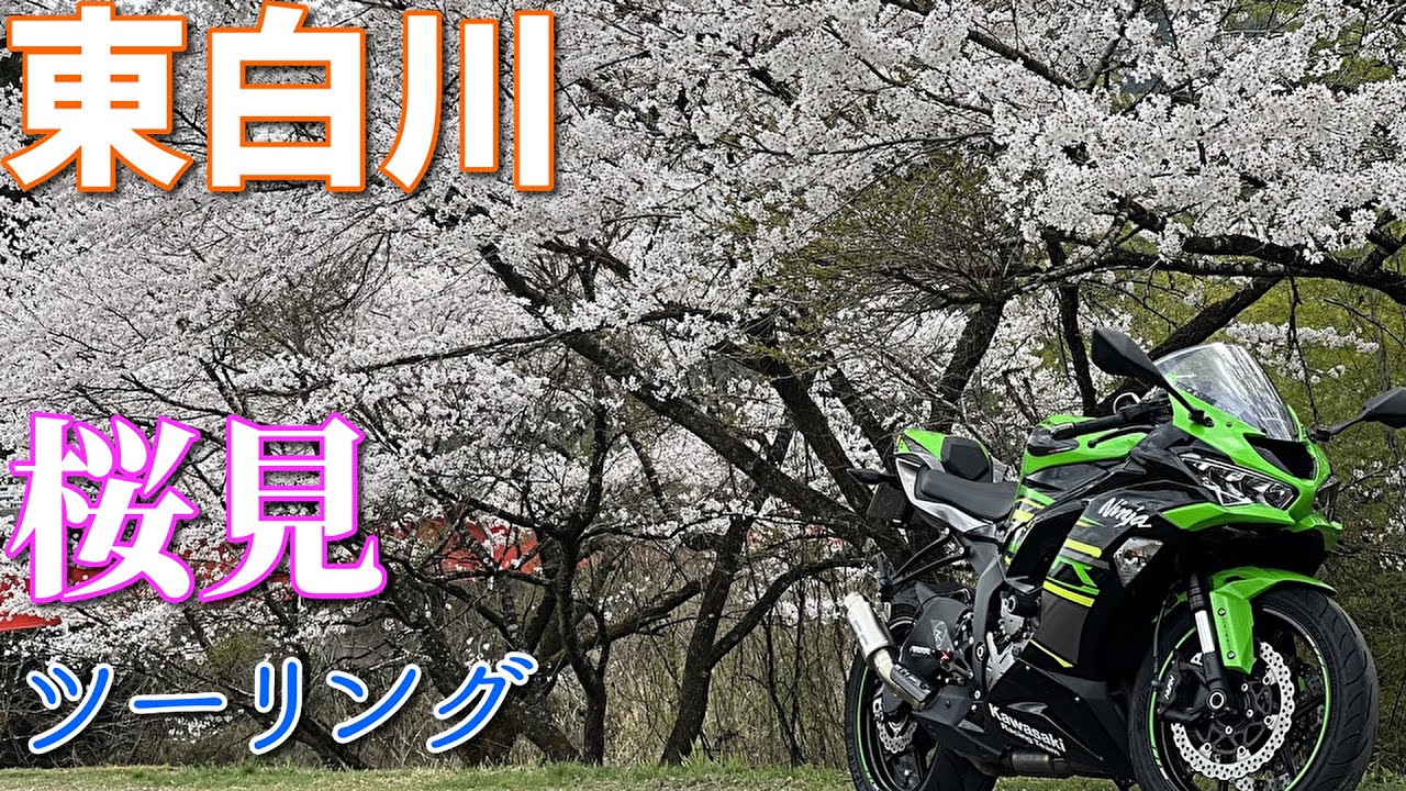 ぴーちゃん】#145 東白川 桜を満喫 【ZX-6R】 - YouTube