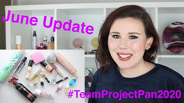 Team Project Pan 2020 | June Update