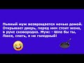 Анекдоты. Подборка анекдотов. Выпуск 62