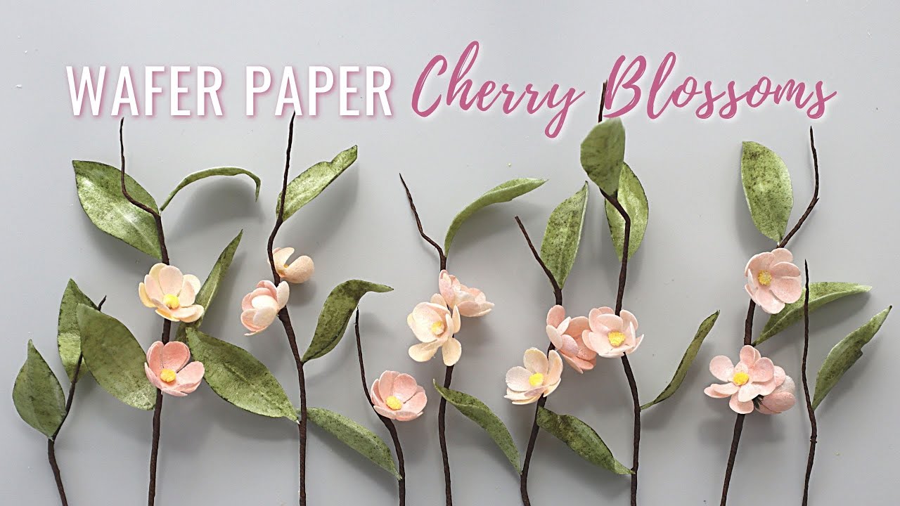How to make Wafer Paper Cherry Blossoms