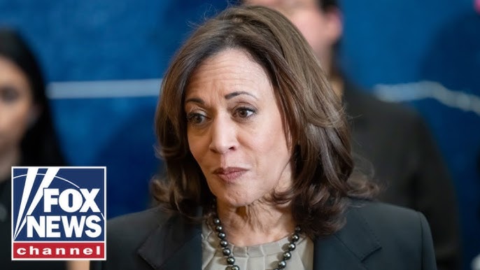 Harris Mocked For Fat Joe Weed Rountable Sad Reality