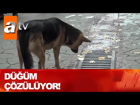 Düğüm çözülüyor! - Atv Haber 15 Kasım 2020