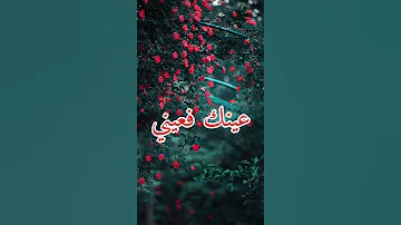 زادكا فريستايل جديد Zedk Freestyle Se7an Les Parole 