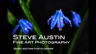Fine Art Flower Editing: Camera Raw & Photoshop Workflow Tutorial screenshot 5