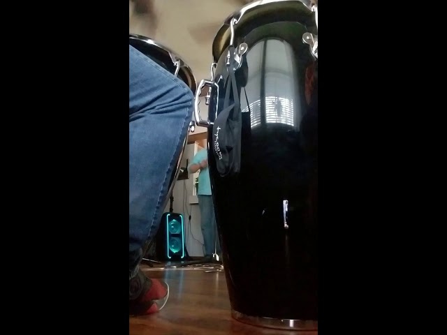 Ver Conga Solo no YouTube Ver Conga Solo no YouTube
