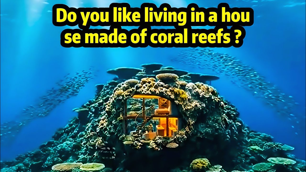 Do you like living in a house made of coral reefs?