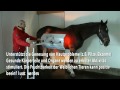 Horsephysio.ch das Mobile Solarium und Infrarottherapie System