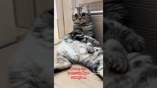 VID 20240117 WA0001