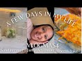 A FEW DAYS IN MY LIFE| Sunday reset,Jump Adventure &amp; Broccoli Casserole #namibianyoutuber #vlogmas