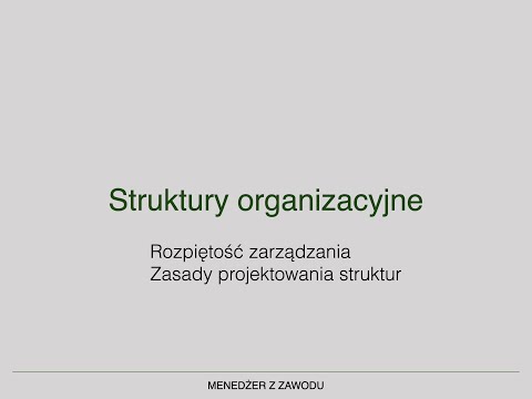 Wideo: Jakie są elementy biurokratycznej struktury organizacyjnej?