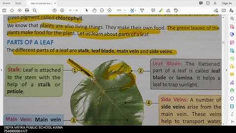 class 4 science ch 7 green plants part 1