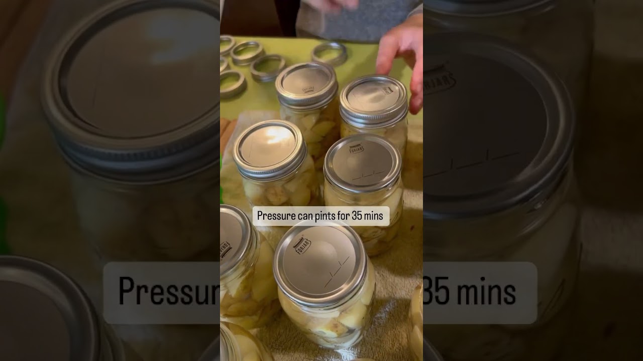 How to Use a Pressure Canner • The Prairie Homestead