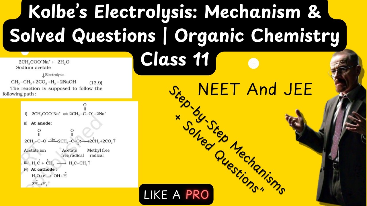 Kolbe’s Electrolysis: Mechanism & Solved Questions | Organic Chemistry Class 11