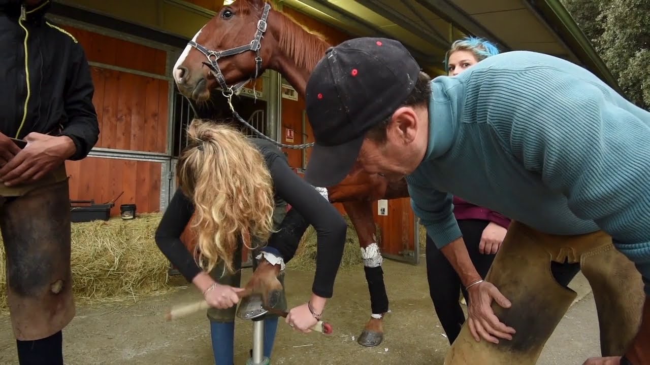 Afasec - Présentation de l'Ecole CABRIES