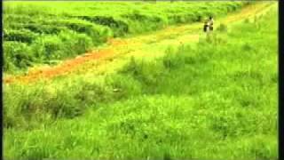 Insee Tvc Social Caring 40Th Anniversary Siam City Cemen