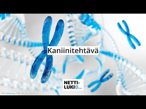 Video: Mitkä ovat biologian termit?